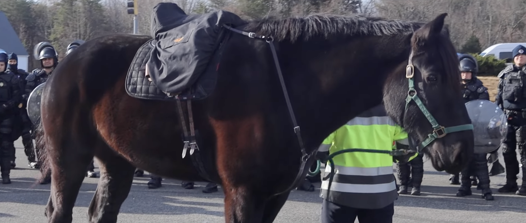 Screenshot 2025 01 16 at 11.00.56 PM Screenshot 2025-01-16 at 11.00.56 PM